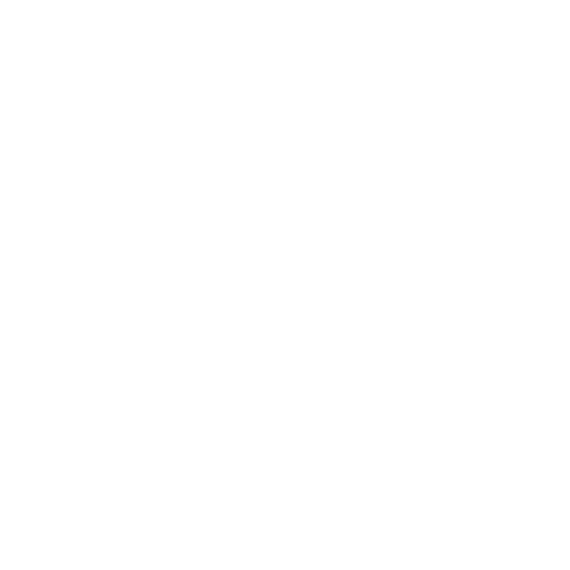 Snap Link